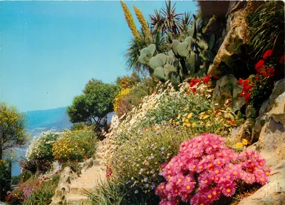Jardim florido da Costa Azul — Sanary — Éditions Art Yvon