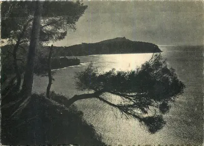 Cap Ferrat e a Baía de Villefranche — A Costa da Provença — editor desconhecido, n° 173