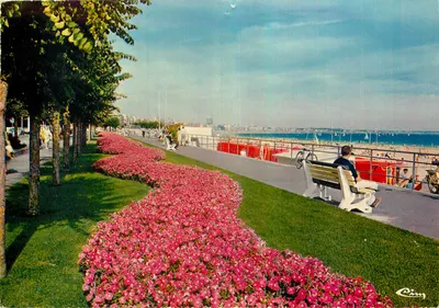 La Baule — Esplanade do Casino — Cing