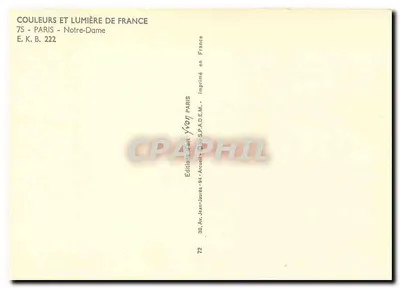 Notre-Dame w Paryżu — widok wiosenny z forsythią — Wydawnictwo Jean-Arcuël — Rewers