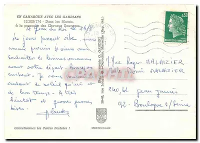 Camargue — Poursuite dos cavalos selvagens — Editor IRIS, n°13.200/174 — Verso