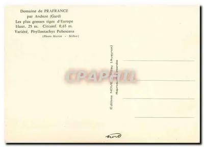 Bambouw — Domein Prafrance, Anduze (Gard) — Edities Millau — Achterkant