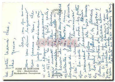 Flor de montanha — Rhododendron ferrugineum — editor Lumico, n°1514 — Verso