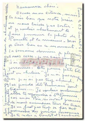 Dois gatos filhotes em um cesto de flores — editor não identificado, número de série não visível — Verso