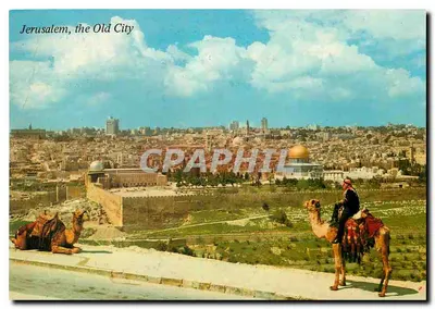 Jerusalém, a Velha Cidade — vista do Monte dos Olivais — 3400