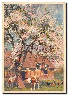 Bilhete postal moderno Terra da França na Normandia Vaca