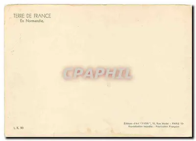 Bilhete postal moderno Terra da França na Normandia Vaca — Verso