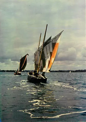 Embarcações de lazer - Velas V.31 - Os "Sinagots" piratas do Golfo do Morbihan — Edições JOS, La Doaré, Châteaulin