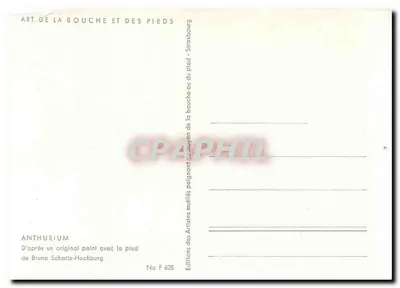 Anthurium — pintado com o pé — Edições dos Artistas, No F 605 — Verso