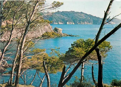 A Presqu'île de Giens — Hyères — Édition P.A. -Pd du Var - Reproduction
