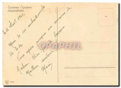 Ciclamenos — Alpenveilchen — editor H. F. 4426 — Verso