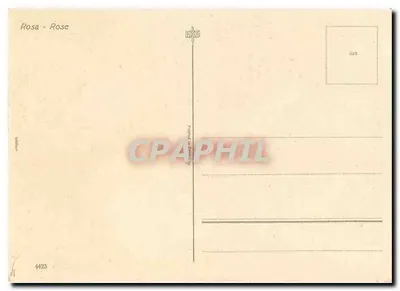 Três rosas amarelas — ilustração — EAS n°4425 — Verso