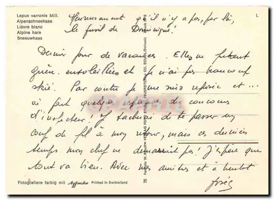 Biały lis alpiski — Alpenschneehase — wydawca Feuerstein & Co. Soudi/Szczecin, nr 75 — Rewers