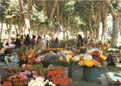Mercado de flores nas avenidas Paul Riquet — Béziers — editor S.A. Cartes Postales APA-POUL