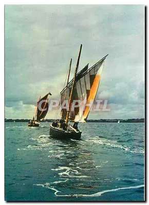 Embarcações de lazer - Velas V.31 - Os 'Sinagots' piratas do Golfo do Morbihan — Éditions d'Art JOS. de Châteaulin
