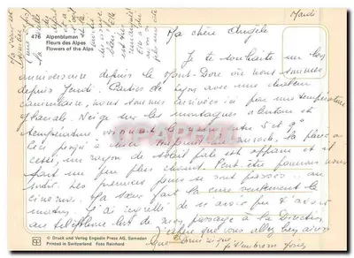 Flores das Alpes — Alpenblumen — Druck und Verlag Engadin Press AG, Samedan, n° 476 — Verso