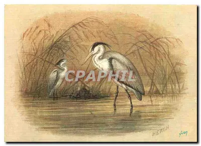 Héron — Aves marítimas — Edições d'art Yvon