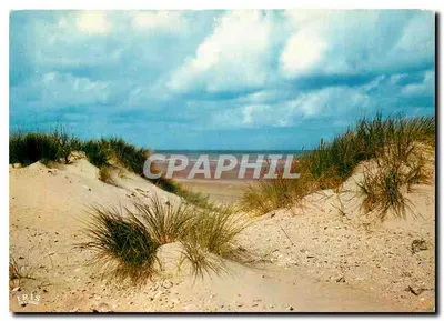 Dunas de areia e grama — praia — editor Artaud Frères, n° PP 759