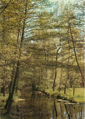A Veneza Verde (Deux-Sèvres) — Vista típica do Marais Poitevin — Editions J.C. Photo-Publi 17, La Rochelle