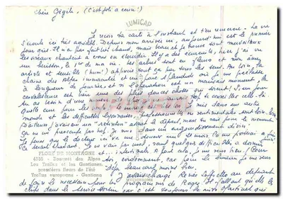 अल्पाइन फूलों का बौक्वेट — जेंटियन और ट्रोलस — एडिटर आईआरआईएस — पीछे