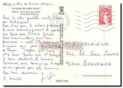 Anêmone das Alpes — 1952-S — Edições EDY — Verso