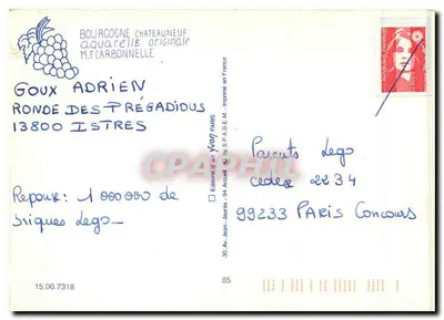 Castelo de Châteauneuf — Borgonha Século XV — M. F. Carbonnelle — Verso