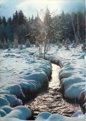 Ruisseau no inverno — Brilho sobre a neve — AS