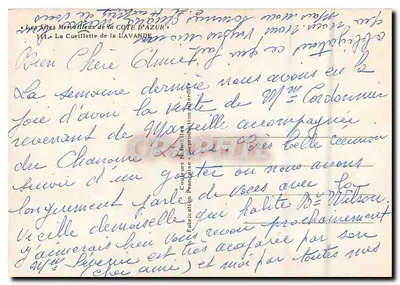 लैवेंडर — लैवेंडर की फसल के बारे में — कोट ड'एजुर के आश्चर्यजनक स्थान — पीछे