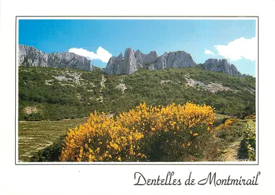 Dentelles de Montmirail — Montmirail, Vaucluse — Édition Magneta, 81-83 rue Villeurbanne