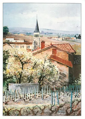 Vista de Romanée-Conti no Beaujolais — Allain Renoux — AB 87217