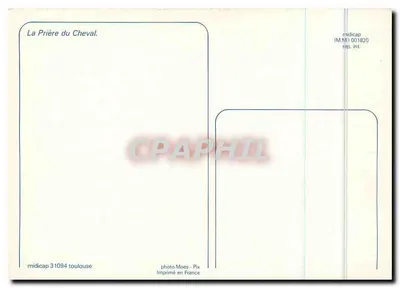 A Oração do Cavalo — poema sobre um cavalo com olhar suave — midicap (M.M.I) 001820 — Verso