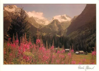 Monte Branco — vista de vale florido — René Poiraud