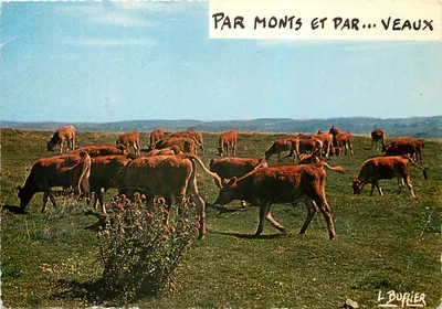 Por montanhas e por... bezerros — Louis Buffier — Éditions Lyon & Paris