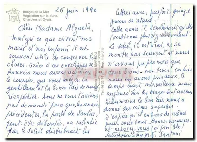 Vegetação na duna — Cardos e Oyats — Edições Michel MARBOU — Verso