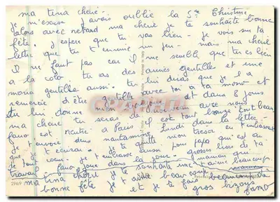 Gato em traje de palhaço — com buquê de rosas — n°29679 — Verso