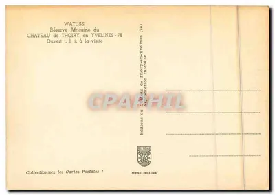 Watuszy — Rezerwata Afrykańska w Zamek Thoiry-en-Yvelines (78) — Éditions Diplôme — Rewers