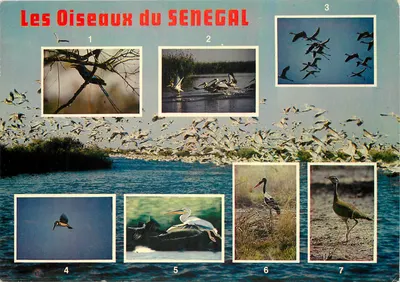 Os Pássaros do SÉNÉGAL — série de 7 pássaros — editor ADP - DAKAR