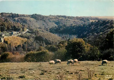 Paisagens de pastagens nos planaltos — Na Limousin — Edições Modernas « Théodace » n°87/345