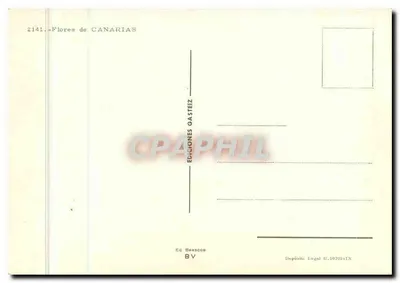 Banana em flor — Canárias — Edições Gasteiz, n°2141 — Verso