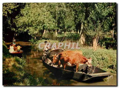 Le Marais Poitevin — La Venise Verte — Éditions Jean-Jaurès
