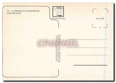 A Presqu'île Guerandaise — Carta postal panorâmica — Éditions Miegeville, n°101 — Verso