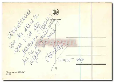 Les porais tilffois — TILFF — editor Nels, n°1 — Verso