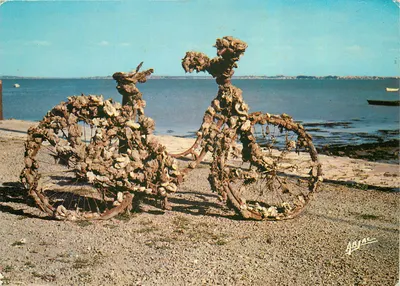 Escultura de bicicletas cobertas de ostras — Costa Atlântica — Éditions ARJAC