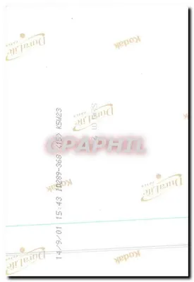 Jardim provençal — pintura a óleo — assinada 'Rimy de Cay' — Verso