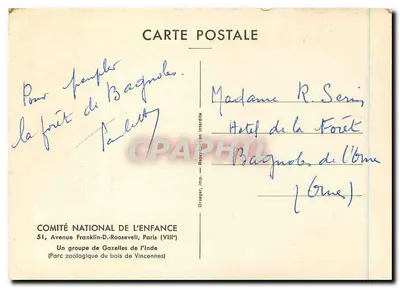 Um grupo de Gazelas da Índia — Parque Zoológico do Bois de Vincennes — editor Dräger, Paris — Verso