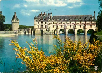 Castelo de Chenonceau — Vista geral — Artaud Frères, Nantes