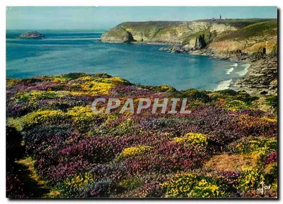 Cap Fréhel — Reserva biológica — Edições JOS