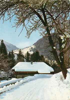 Vista de uma casa nevada — nas proximidades de Morzine (Alta Saboia) — Edições Jansol, n° 534