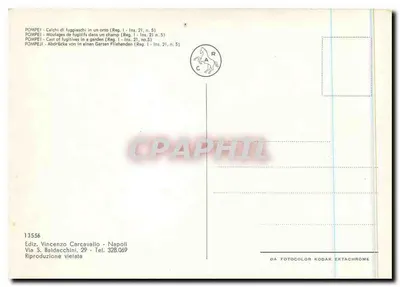 Pompéia — Castas de fujitivos em um jardim — Editor Vincenzo Carcavallo, n° 13556 — Verso
