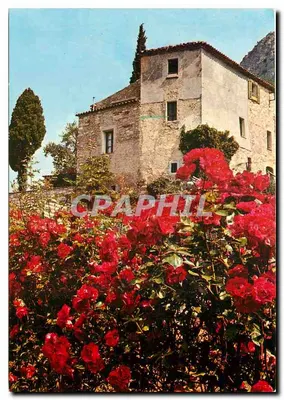Velhas pedras e flores do Arrière-Pays Méditerranéen — Éditions S.E.P.T. - NICE